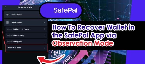 How To Recover Wallet In The SafePal App via Observation Mode