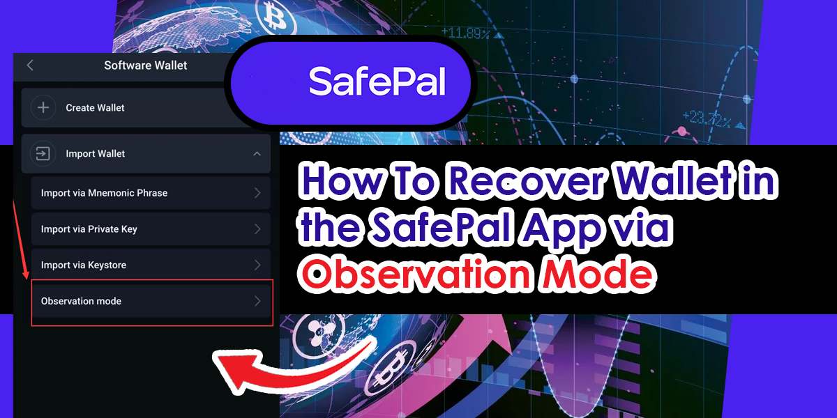 How To Recover Wallet In The SafePal App via Observation Mode