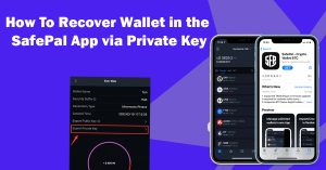 Read more about the article How to Recover Wallet In The SafePal App Via Private Key?