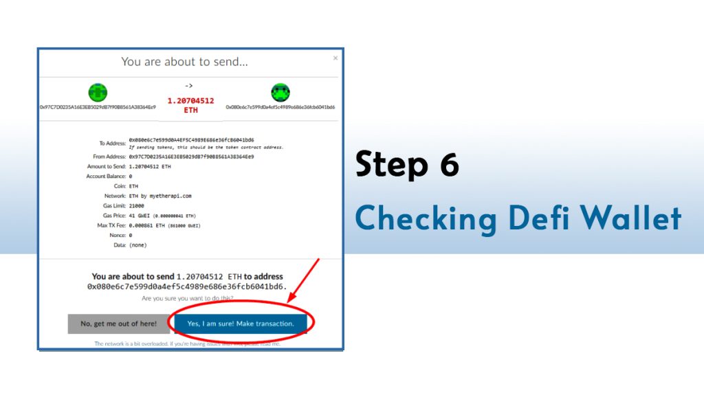 Step 6: Checking Defi Wallet.