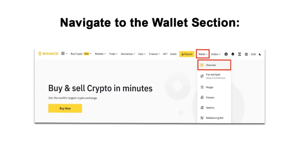 Navigate to the Wallet Section