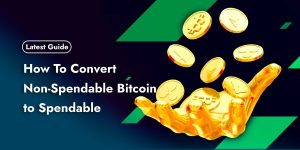 Read more about the article How To Convert Non-Spendable Bitcoin to Spendable